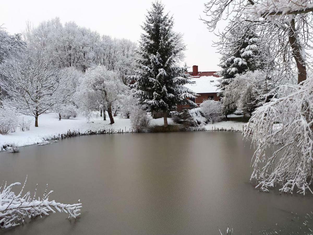 Vila Labadkowo Labedzie Exteriér fotografie